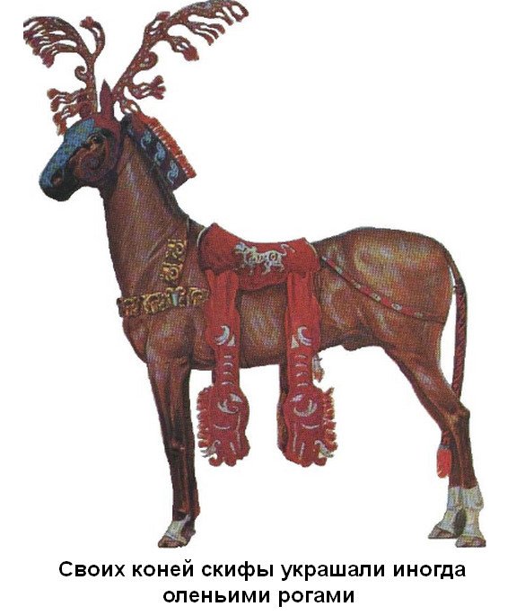 koni-oleni-roga