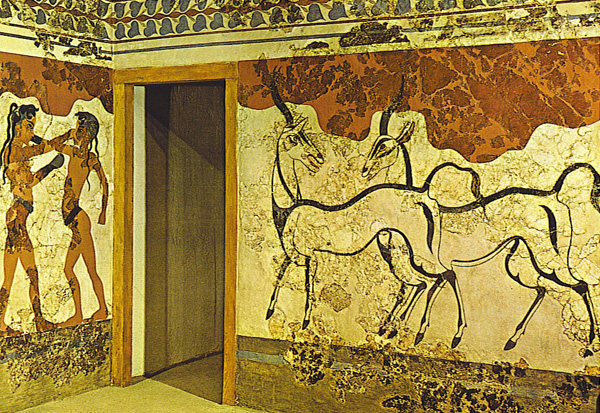 freska-kozy-boks